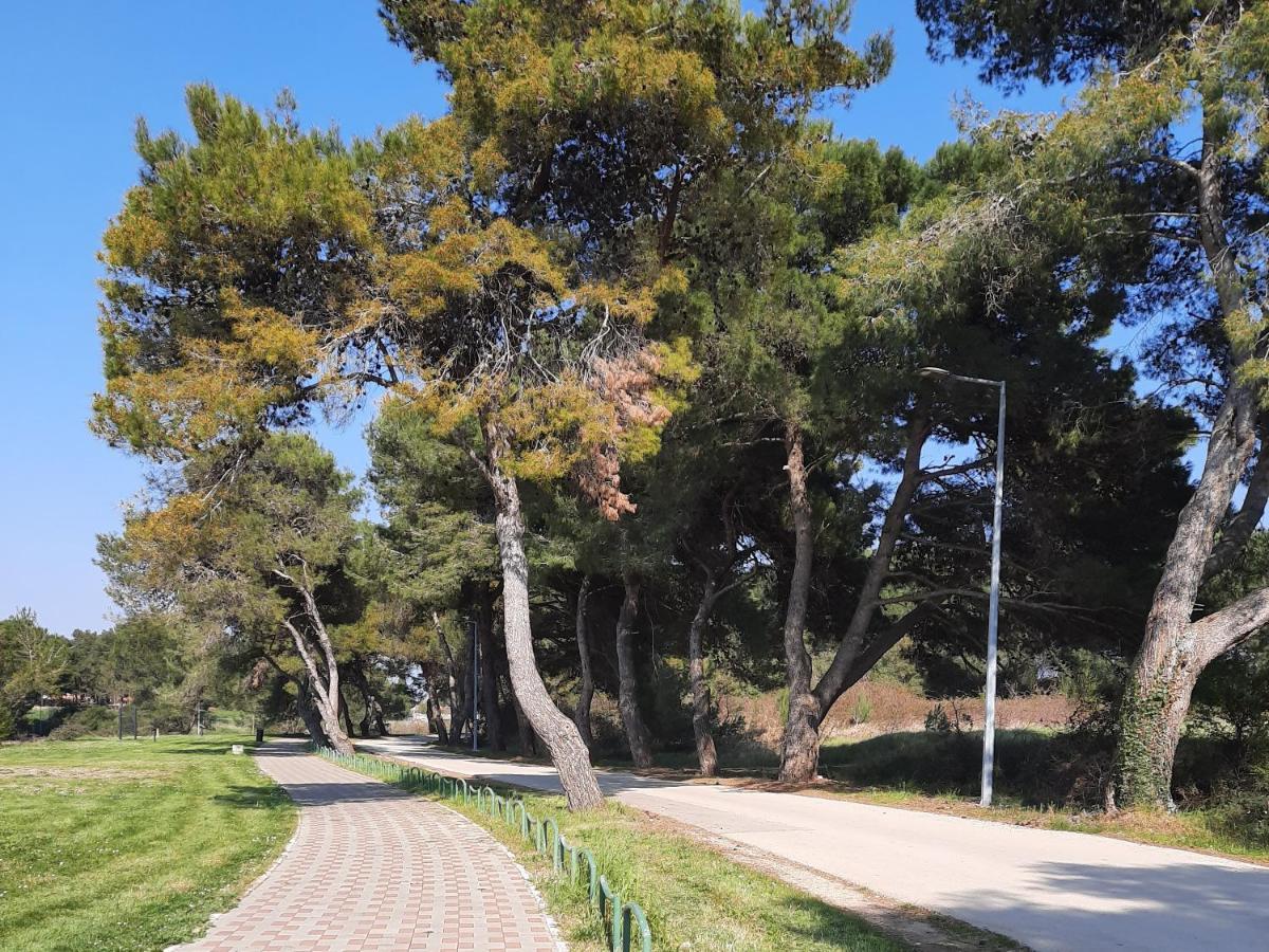 Adriatic Nada Fazana